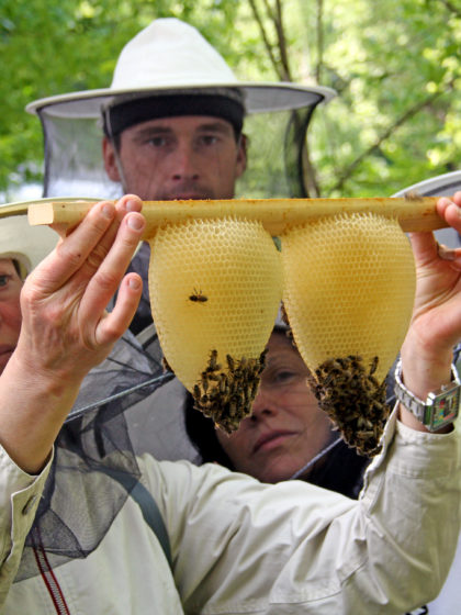 Imkerkurse 2016 zur wesensgemäßen Bienenhaltung der Mellifera Regionalgruppe Berlin