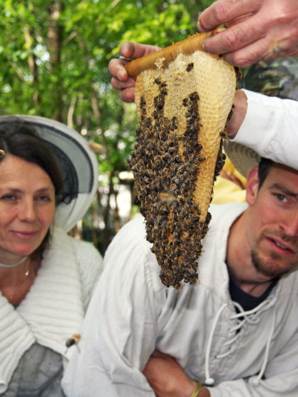 Berlin – Langer Tag der Stadtnatur 2017: Bienenführungen zu wesensgemäßer Imkerei