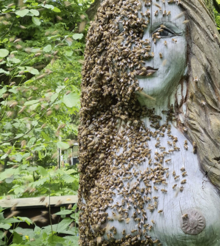 Ein Bienenschwarm zieht alleine in die Bienenskulptur Melissa von Silke Meyer. Ein Kompliment und die Bestätigung, dass es ein Öko Luxus Loft ist.